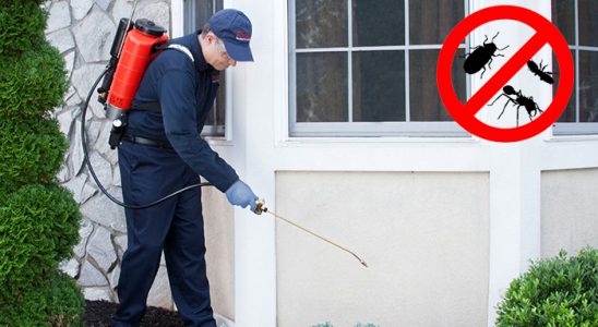 Kovancılar Dezenfeksiyon böcek ilaçlama ve haşere kontrolü — ilaclama-tr.com